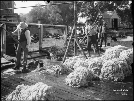 Black and white photograph of three men with pitch forks standing on a deck with mounds of wool beside them. The men are washing the wool in large vats of water in the deck floor, which are fed from a series of pipes. Two men watch on from behind. 